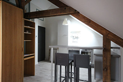 Nantes Michelet - T2 meuble