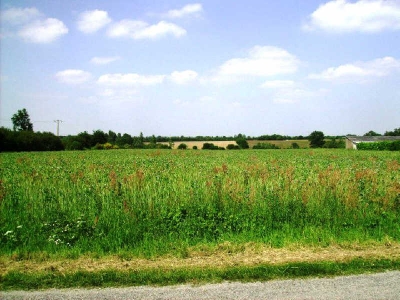 Terrain constructible LIGNE - 1229,00 m2