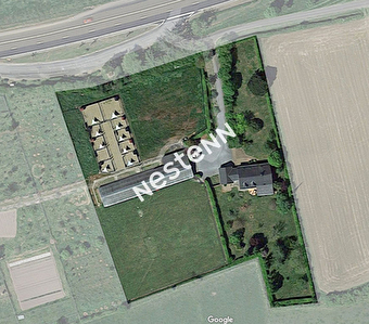 Pension canine + Maison d'habitation + 1 hectare de terrain