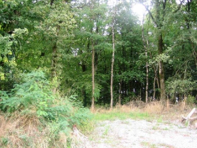 Terrain constructible LE PUISET DORE - 1500 m2