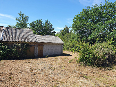 Terrain a vendre a Mesanger avec petite dependance
