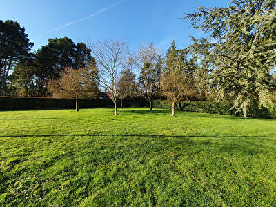 Terrain a vendre a Riaille d'une surface de 600m2 environ