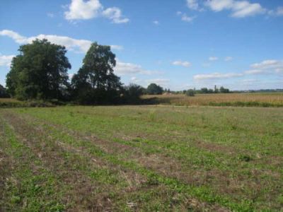 TERRAIN CONSTRUCTIBLE OUSSE - 2000 m2