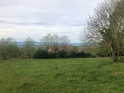 Buros - 2000 m2