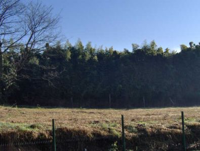 Terrain constructible BAYONNE - 500 m2