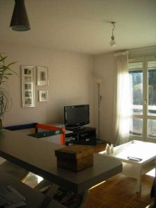 APPARTEMENT TASSIN LA DEMI LUNE - 2 pieces - 47 m2