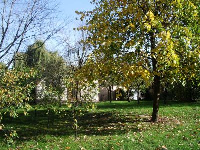TERRAIN CONSTRUCTIBLE FRANCHEVILLE - 700 m2