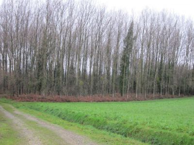 Terrain de loisirs Plemet - 4670 m2