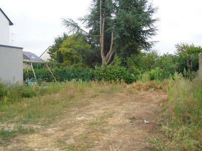 Terrain Avrille 300 m2