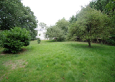 Terrain Saint Barthelemy D Anjou 490 m2