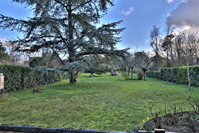 Maison angevine,10 Minutes d'Angers, grand parc de plus de 1300 m2!