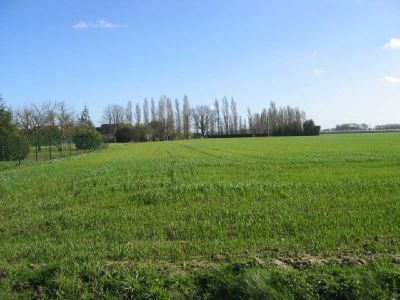 TERRAIN A AMENAGER VILLAINES SOUS MALICORNE - 16828 m2