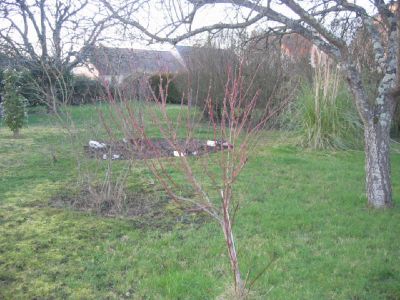 TERRAIN A BATIR LA FLECHE - 500 m2