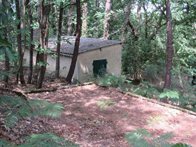 Domaine forestier - Terrain Loisirs proche Cerans-Foulletourte