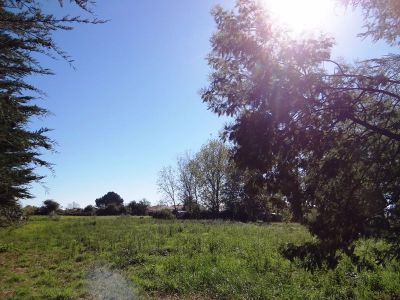 LE FENOUILLER - proximite ST GILLES X DE VIE
