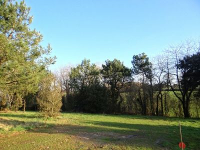 Terrain Saint Reverend 1642 m2