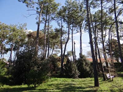 Terrain Bretignolles Sur Mer - 500 m2