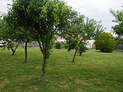 Terrain Saint Gilles Croix De Vie 910m2