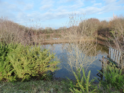 Terrain de loisirs Bretignolles Sur Mer