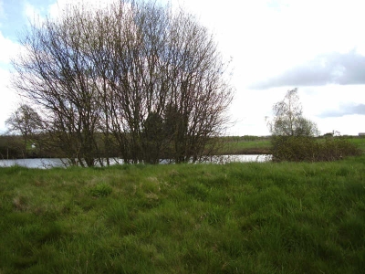 TERRAIN DE LOISIRS MORTAGNE SUR SEVRE - 8000 m2