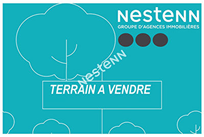 Terrain