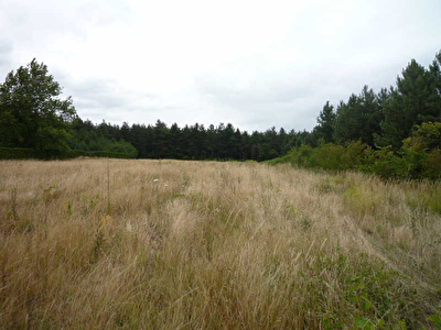 TERRAIN CONSTRUCTIBLE BRION - 1500 m2