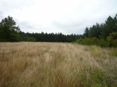 TERRAIN CONSTRUCTIBLE BRION - 1500 m2