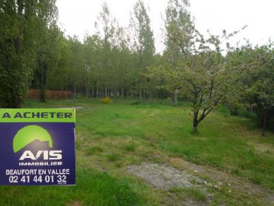 Terrain Brion 3541 m2