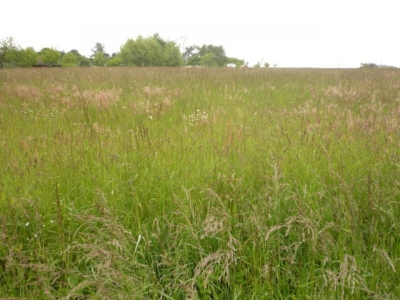 Terrain Le Guedeniau 1554 m2