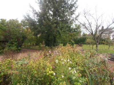 Terrain Beaufort 498 m2