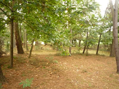 Terrain Saint Philbert Du Peuple 1400 m2