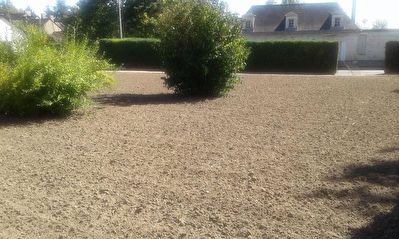 Terrain Beaufort En Anjou 882 m2