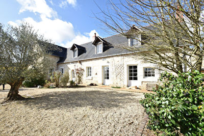 Maison Les Bois D Anjou 9 pieces 300 m2