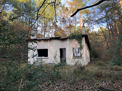 Terrain de loisirs boise avec maisonnette de 60 m2 sur la commune de Jumelles