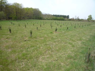 Terrain Seiches Sur Le Loir 8250 m2
