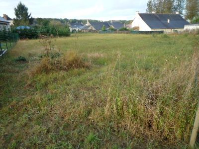 Terrain Seiches Sur Le Loir 1063 m2