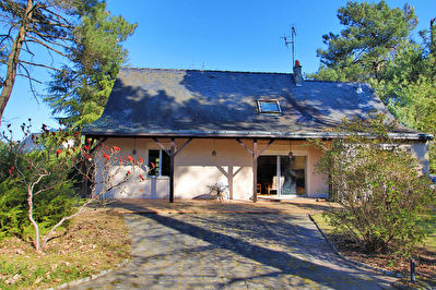 SOUCELLES
