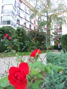 Appartement LE CHESNAY - 3 pieces - 65 m2