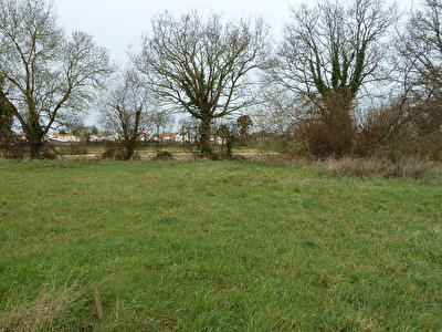 Terrain 615 m2 viabilise a Challans proche centre