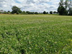 35270 COMBOURG - Terrain