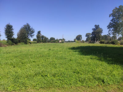 Terrain a vendre proche de Combourg .