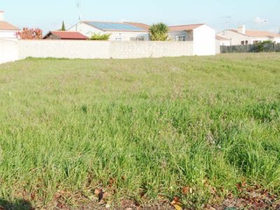 TERRAIN A BATIR CHATEAU D OLONNE - 488 m2