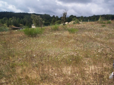 TERRAIN CONSTRUCTIBLE TENCE - 1210 m2
