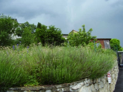 TERRAIN CONSTRUCTIBLE AUREC SUR LOIRE - 246 m2