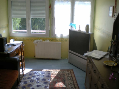 APPARTEMENT BRIVES CHARENSAC - 4 pieces - 61 m2