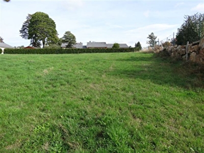 Terrain Tence 1134 m2
