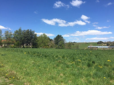terrain constructible dans nouveau lotissement Yssingeaux