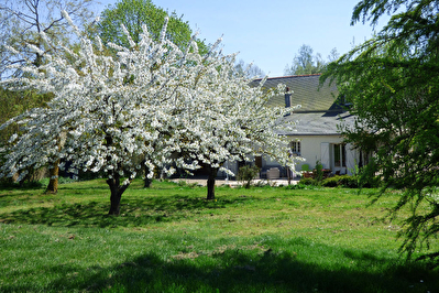 Maison sur Angers sud de 230m2 habitables avec jardin