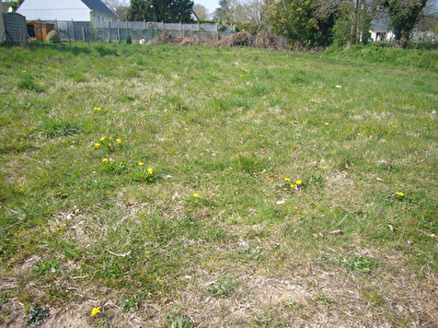 TERRAIN CONSTRUCTIBLE PONT SCORFF - 855,00 m2