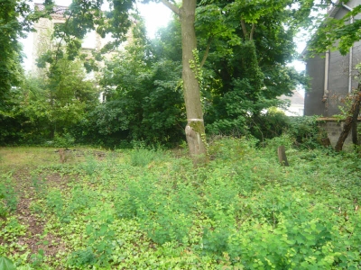 TERRAIN A BATIR SARTROUVILLE - 429 m2